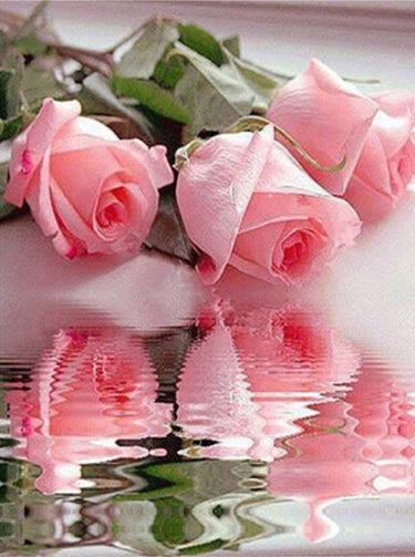 Flower Diamond Painting Kit - DIY Flower-19